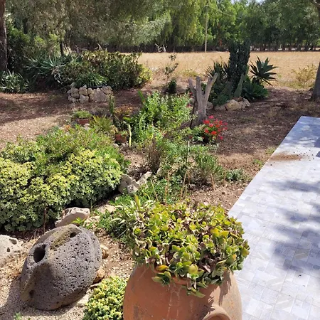 Apartmán Casa Baratz *