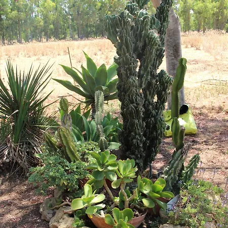 Casa Baratz Apartmán