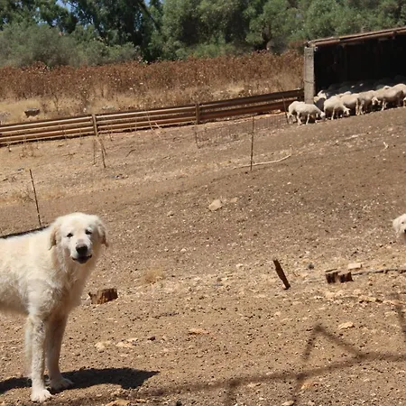 Casa Baratz Apartment *