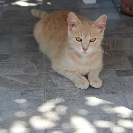 Casa Baratz Apartmán Santa Maria la Palma